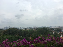 The Arcadia (D11), Condominium #168718072